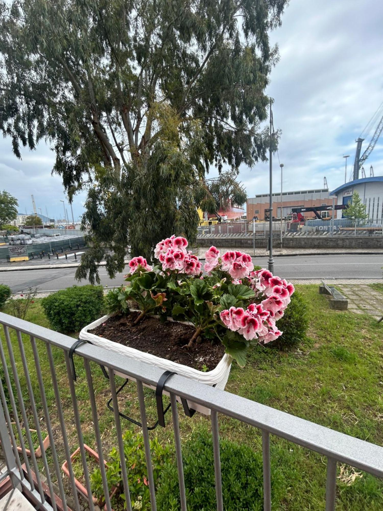 Apartament Sissi House Salerno Zewnętrze zdjęcie