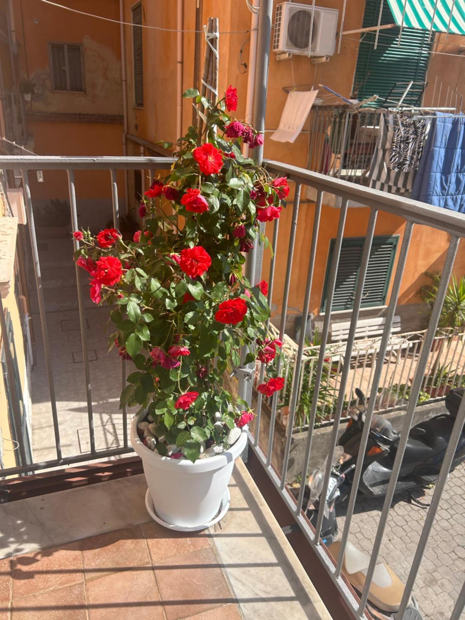 Apartament Sissi House Salerno Zewnętrze zdjęcie