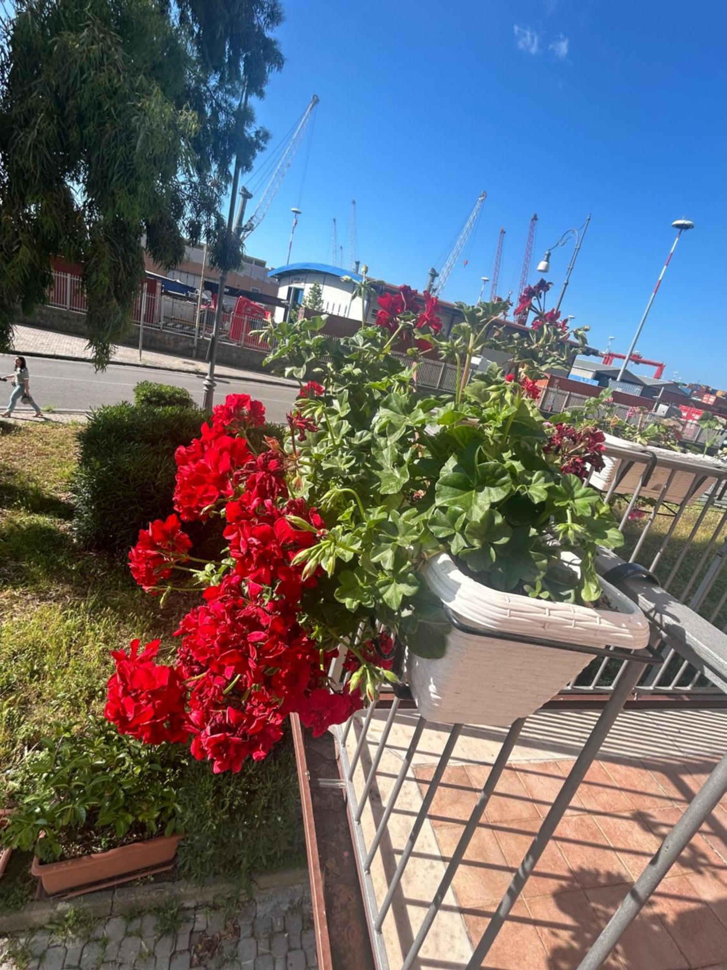 Apartament Sissi House Salerno Zewnętrze zdjęcie
